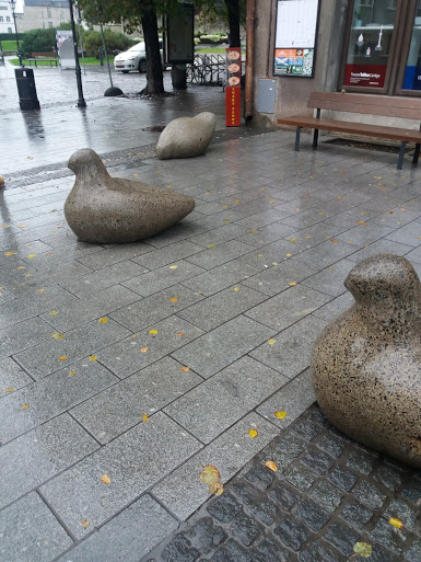 Pigeon Statues on the streets of Tallinn